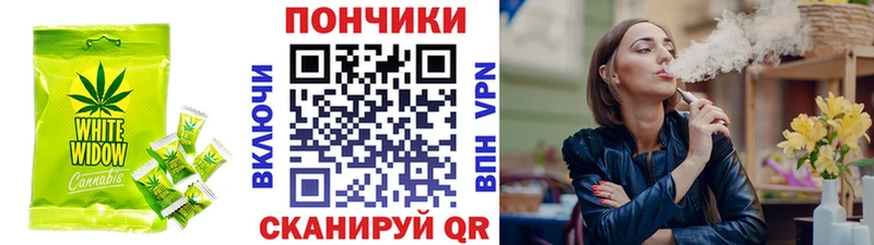 купить  цена  Ельня  Canna-Cookies конопля 