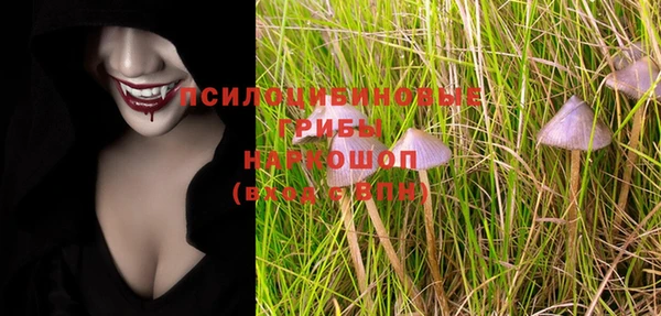 винт Покров