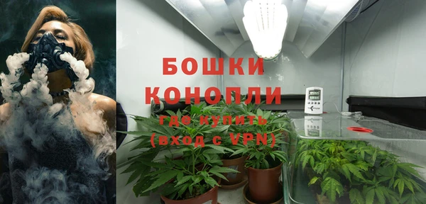 гашик Беломорск