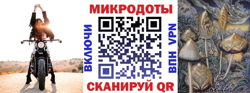 Галлюциногенные грибы Psilocybe  Ельня 
