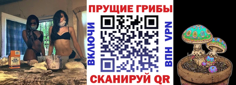Галлюциногенные грибы мицелий Ельня